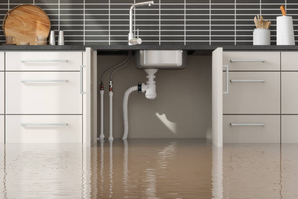 Best Water Damage Assessment and Inspection in Blue Island, IL